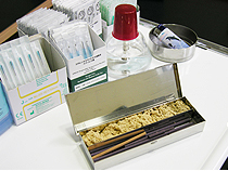 ���Ѥ���蝹�